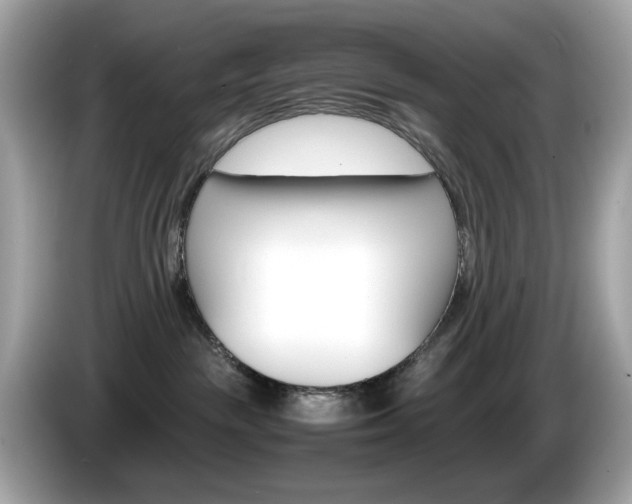 X0000086240189200703291013