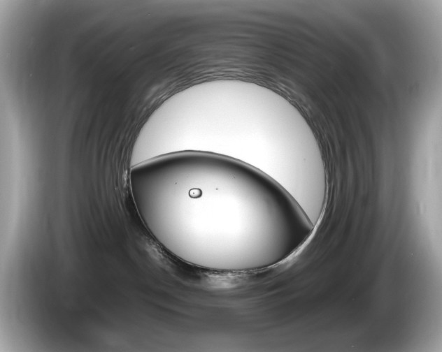 X0000086240190200703291013