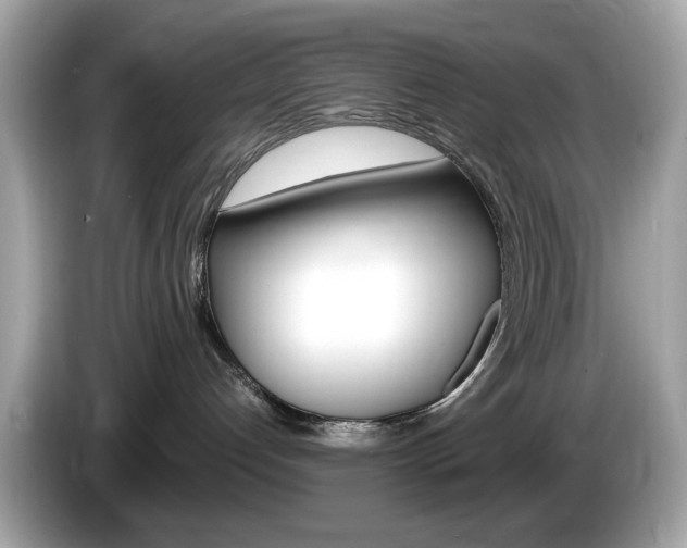 X0000086240192200703291013