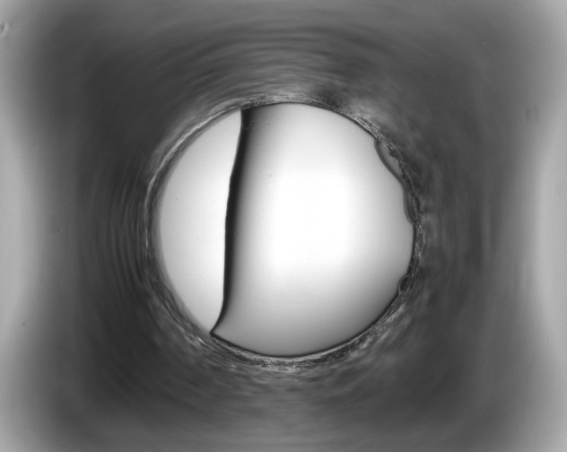 X0000086240194200703291012