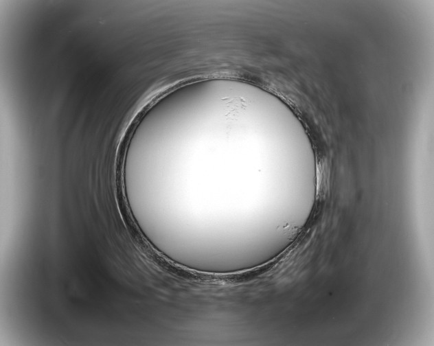 X0000086240195200703291012