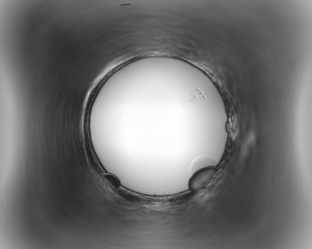 X0000086240196200703291012