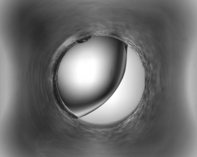 X0000086240197200703291012