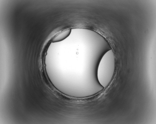 X0000086240198200703291012