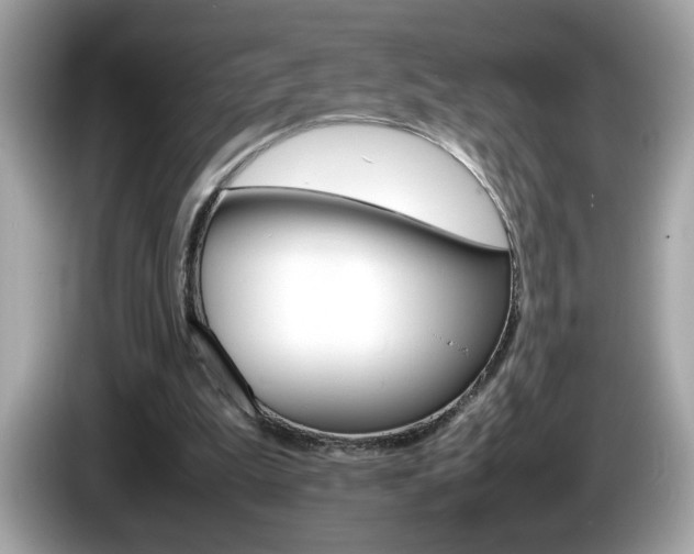 X0000086240199200703291012