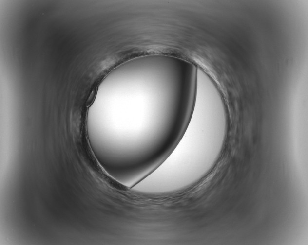X0000086240201200703291012