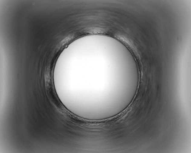 X0000086240202200703291012