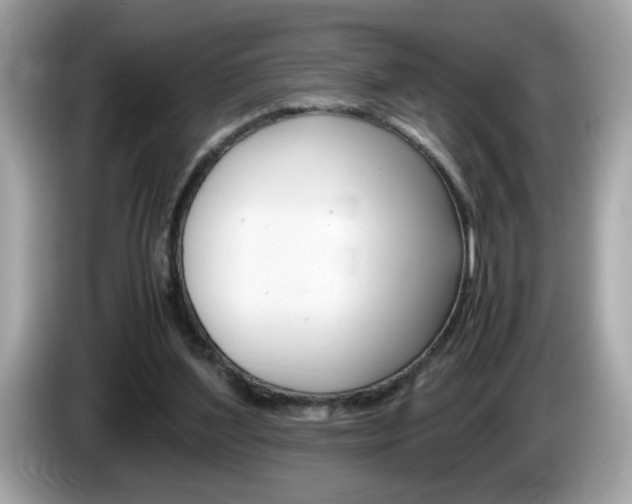 X0000086240204200703291012