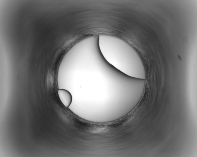 X0000086240206200703291012