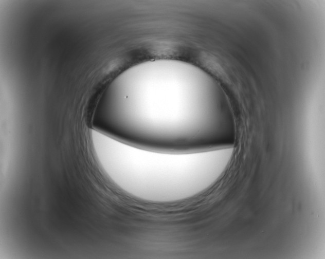 X0000086240211200703291012
