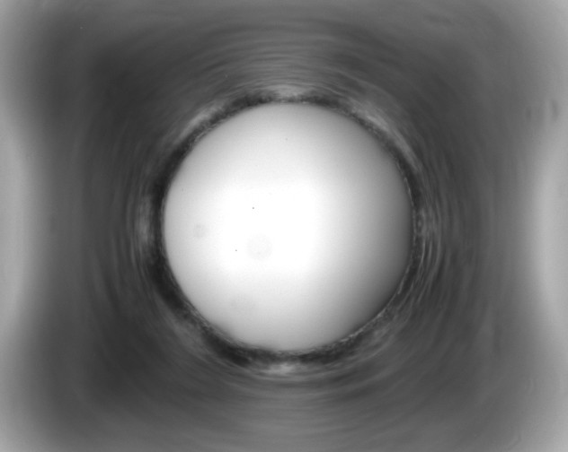 X0000086240212200703291012