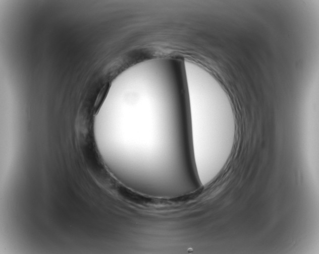 X0000086240215200703291012