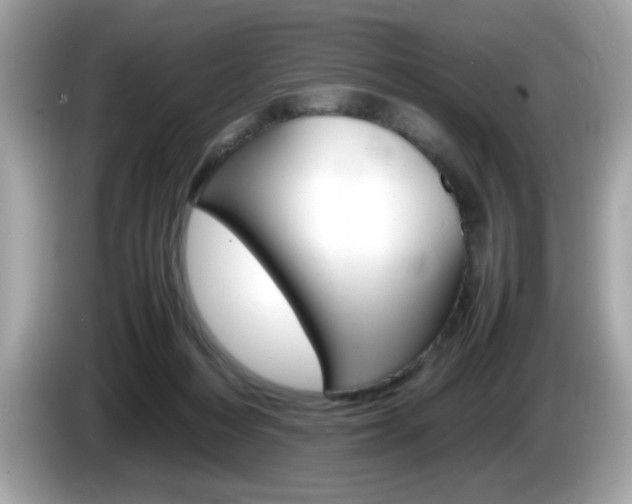 X0000086240216200703291012