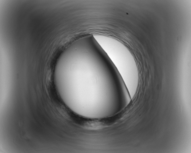 X0000086240219200703291012