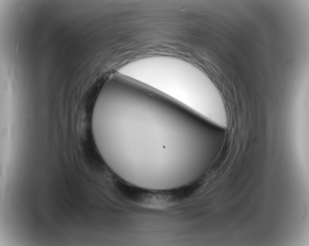 X0000086240223200703291012