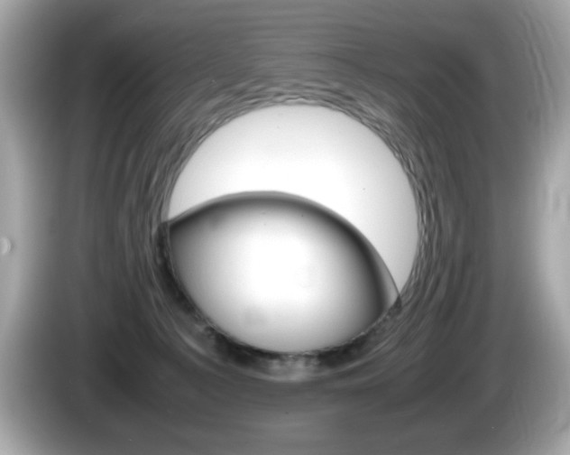 X0000086240225200703291012