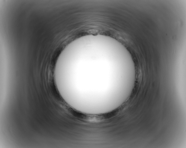 X0000086240226200703291012