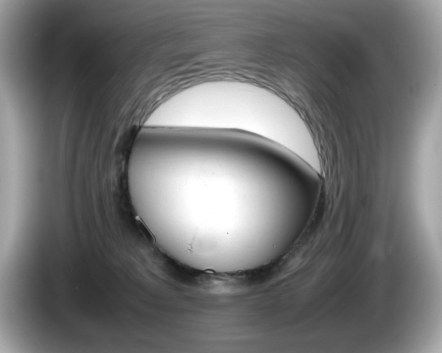 X0000086240229200703291012