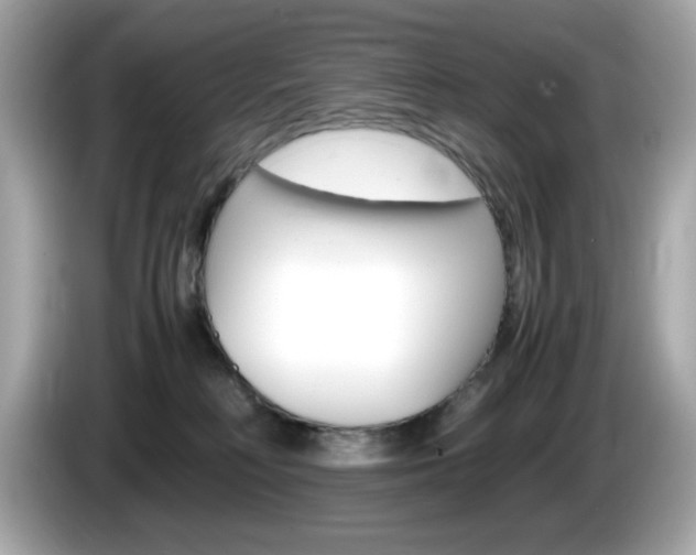 X0000086240230200703291012