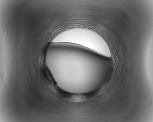 X0000086240231200703291012