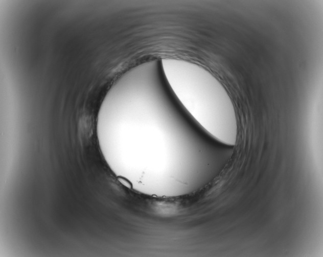 X0000086240232200703291012
