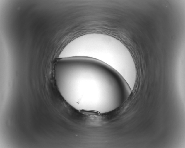 X0000086240233200703291012