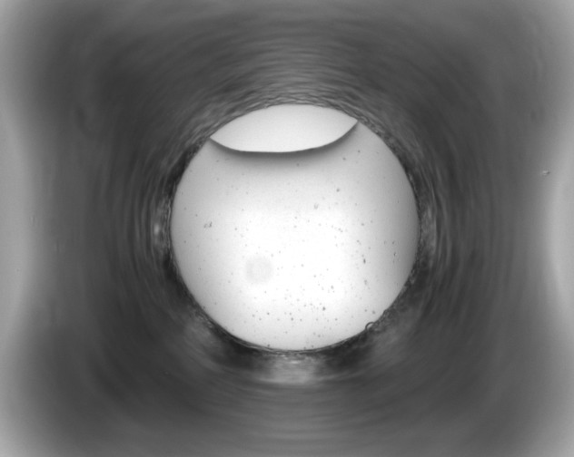 X0000086240234200703291012