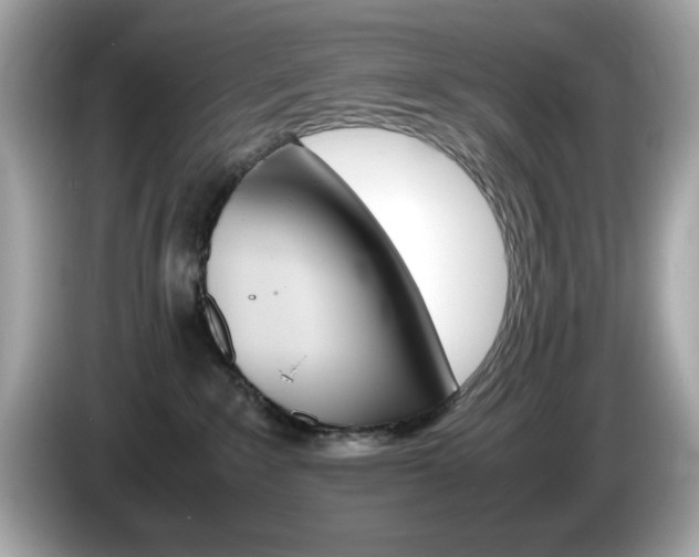 X0000086240235200703291012