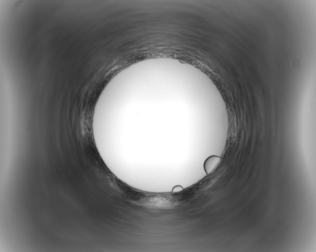 X0000086240236200703291012