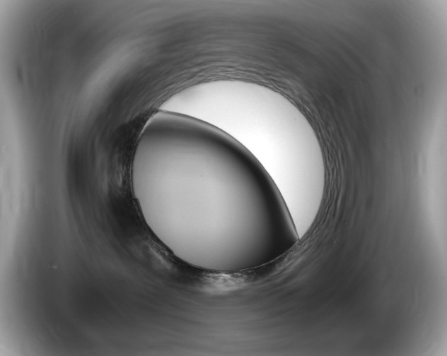X0000086240239200703291011