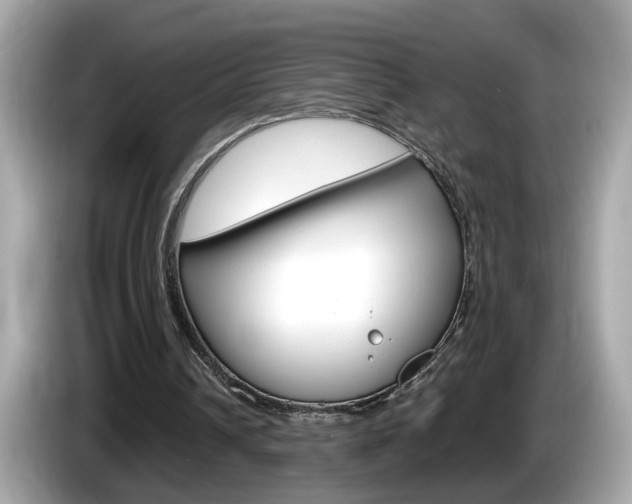 X0000086240242200703291011