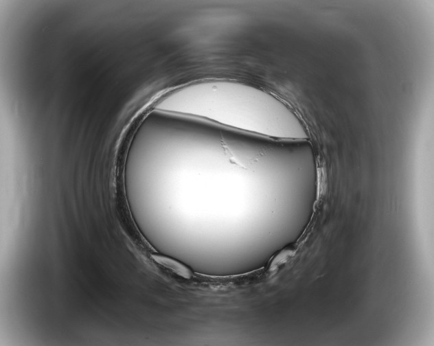 X0000086240243200703291011