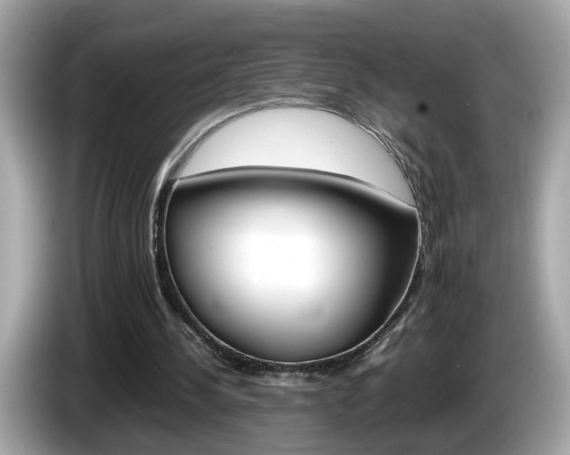 X0000086240244200703291011