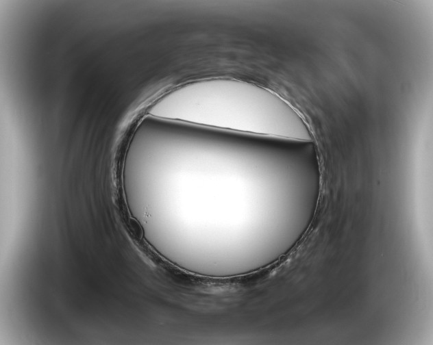 X0000086240245200703291011