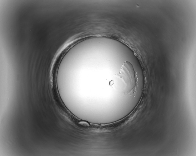 X0000086240246200703291011