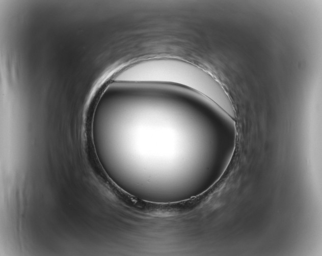 X0000086240248200703291011