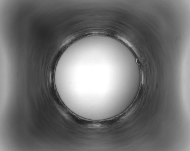 X0000086240253200703291011