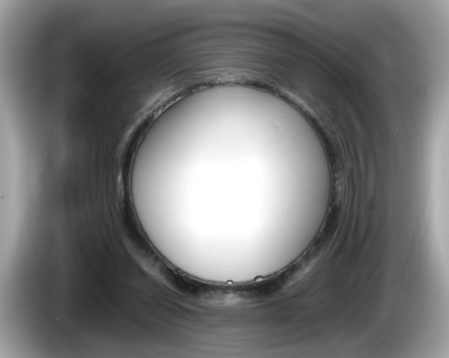 X0000086240254200703291011