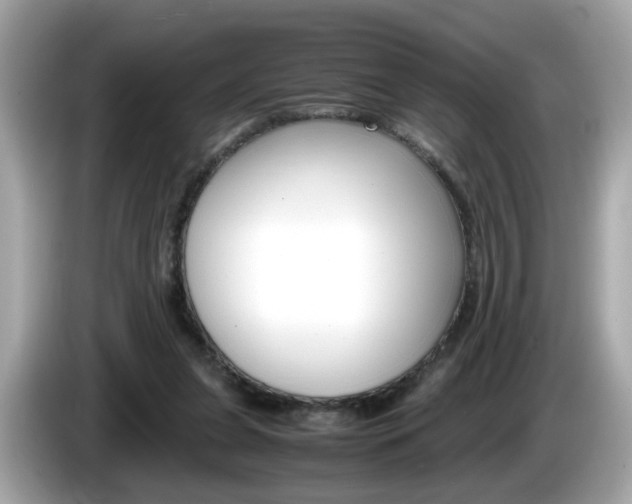 X0000086240255200703291011