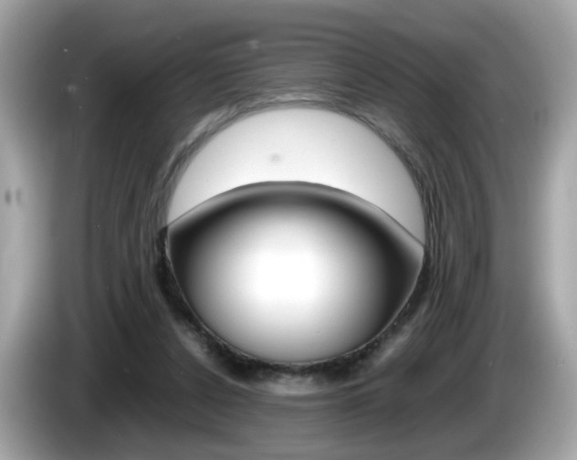 X0000086240256200703291011
