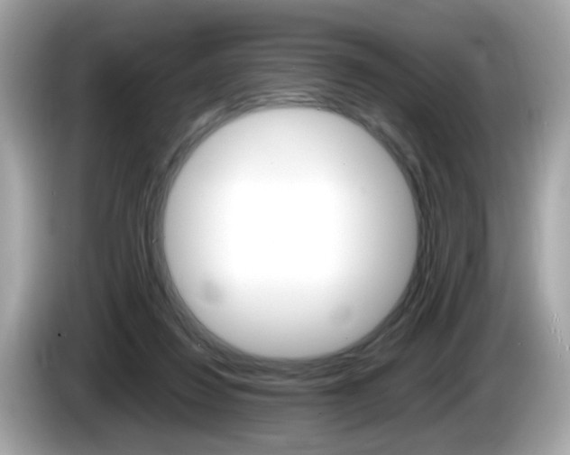 X0000086240260200703291011