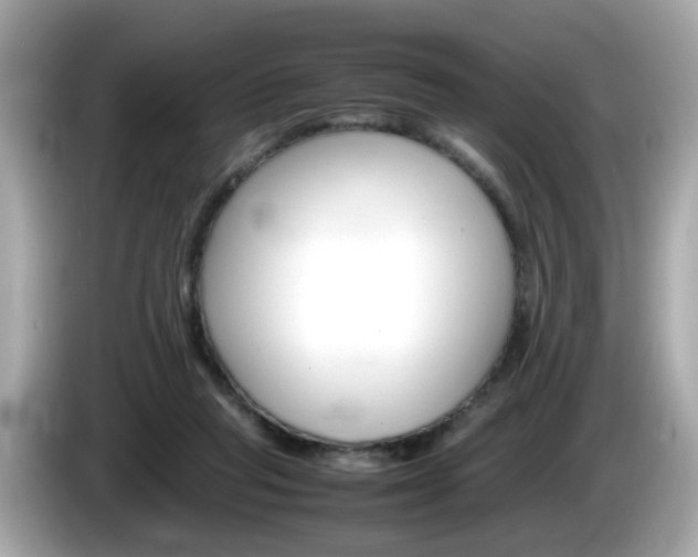 X0000086240261200703291011