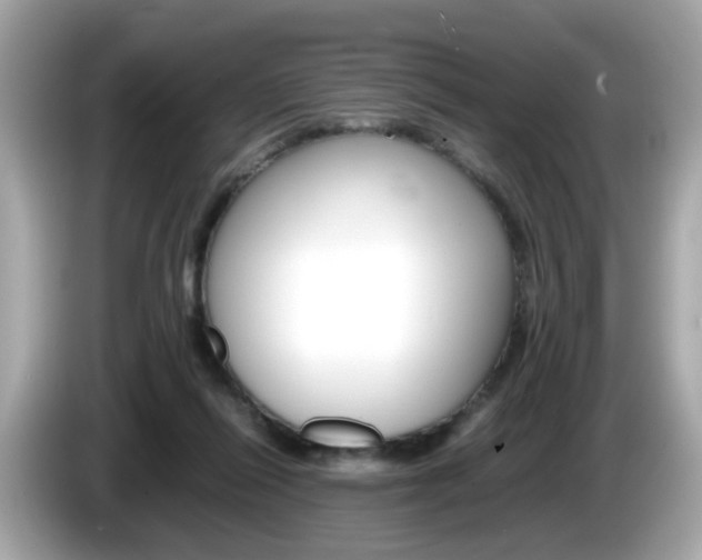 X0000086240262200703291011