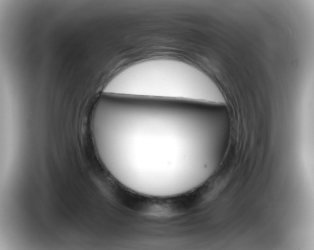 X0000086240263200703291011