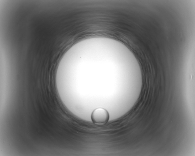 X0000086240268200703291011