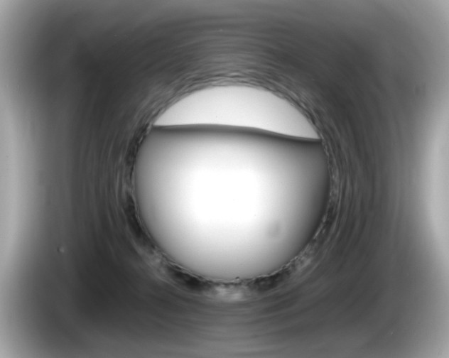 X0000086240272200703291011
