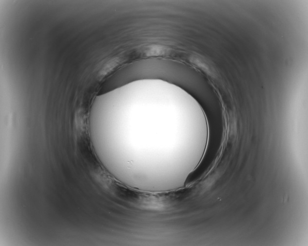 X0000086240276200703291011