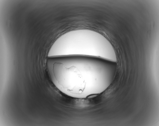 X0000086240281200703291011
