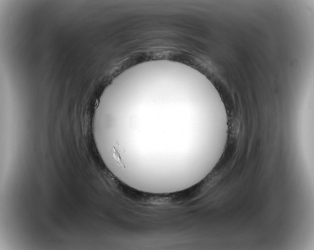 X0000086240283200703291011