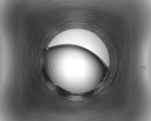 X0000086240284200703291011